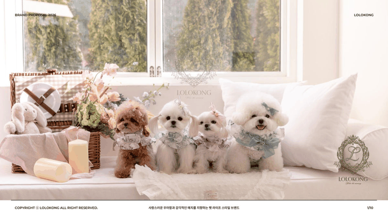 로로콩 W컨셉 입점제안서에서 표지 화보, 시그니처 컬렉션, 고객 반응, W컨셉 접점, 입점 제안 조건 장이 차례로 넘어가는 GIF