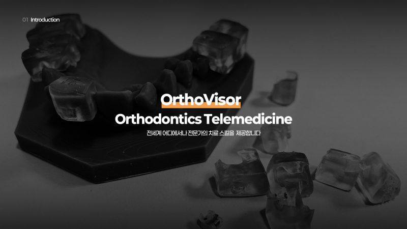 OrthoVisor 제안서·기획 표지