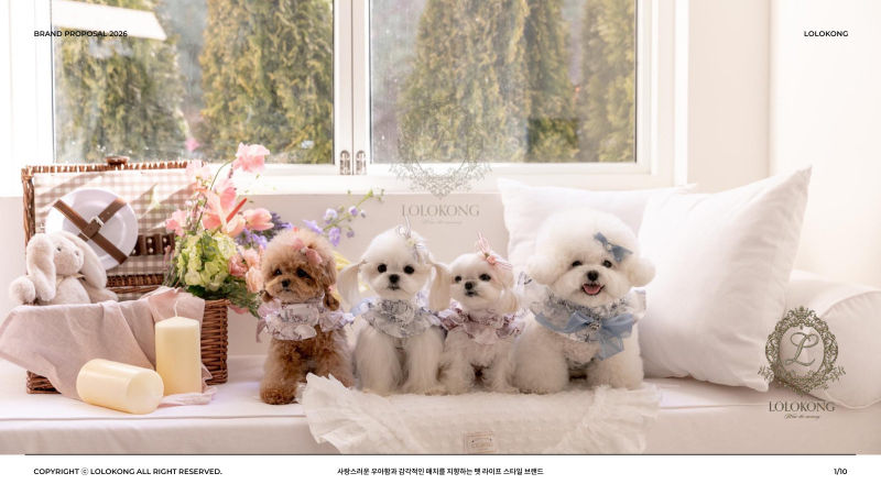 로로콩(LOLOKONG) 입점제안서 표지