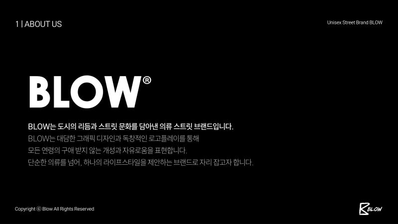 BLOW 브랜드소개서 표지