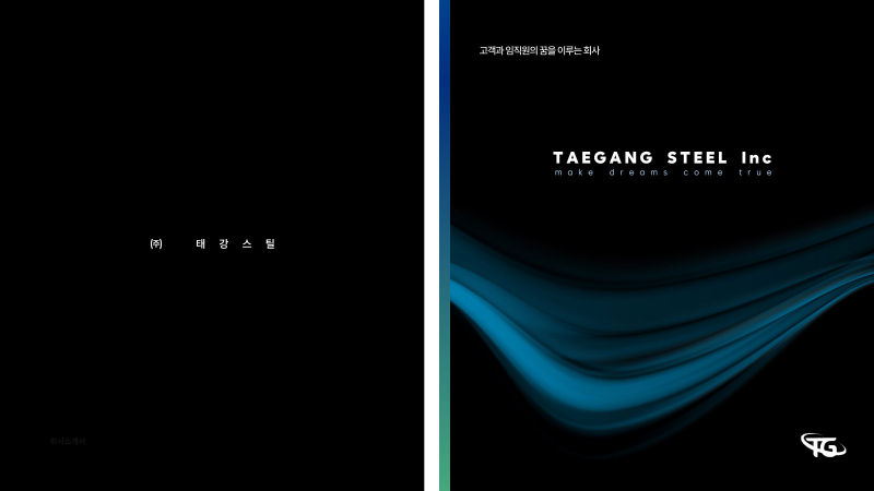 태강스틸 (TAEGANG STEEL Inc) 제안서·기획 표지