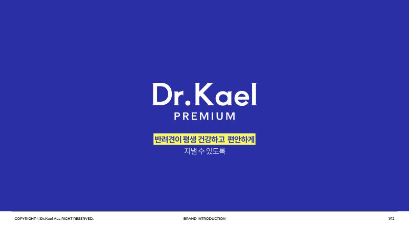 Dr.Kael (닥터카엘) 회사소개서 표지