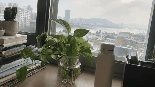 입점제안서 상품? 전부 넣지 마세요