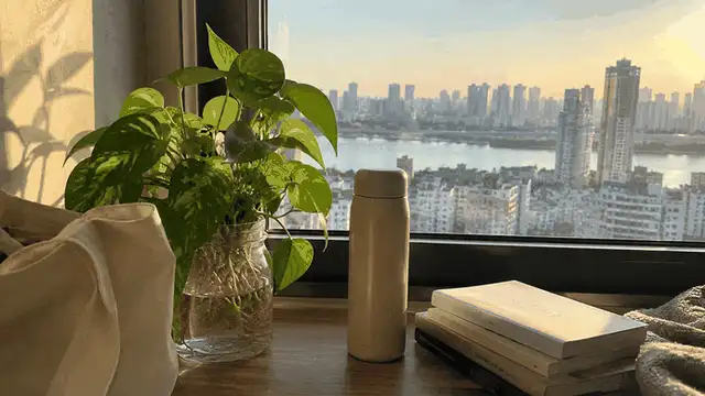 백화점 입점제안서 잘 만드는 법, 노하우 공개